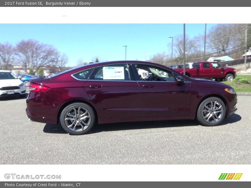 Burgundy Velvet / Ebony 2017 Ford Fusion SE