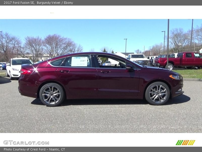 Burgundy Velvet / Ebony 2017 Ford Fusion SE