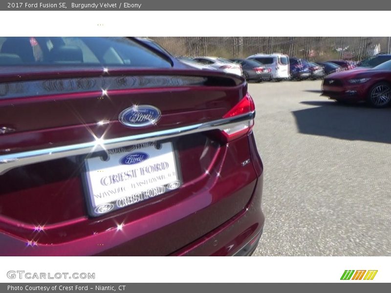 Burgundy Velvet / Ebony 2017 Ford Fusion SE