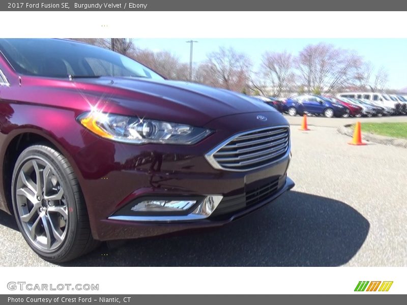Burgundy Velvet / Ebony 2017 Ford Fusion SE