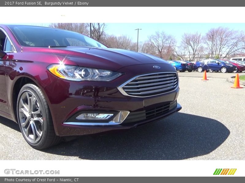 Burgundy Velvet / Ebony 2017 Ford Fusion SE