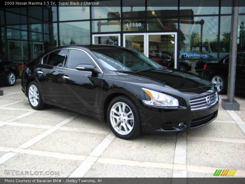 Super Black / Charcoal 2009 Nissan Maxima 3.5 SV