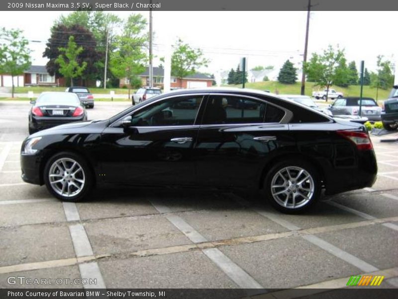 Super Black / Charcoal 2009 Nissan Maxima 3.5 SV
