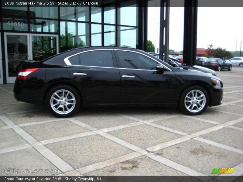 Super Black / Charcoal 2009 Nissan Maxima 3.5 SV