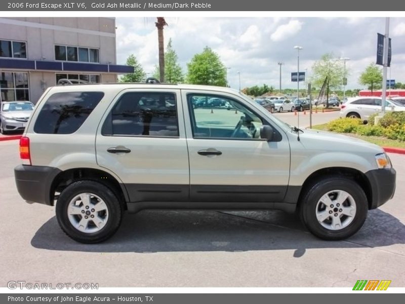 Gold Ash Metallic / Medium/Dark Pebble 2006 Ford Escape XLT V6