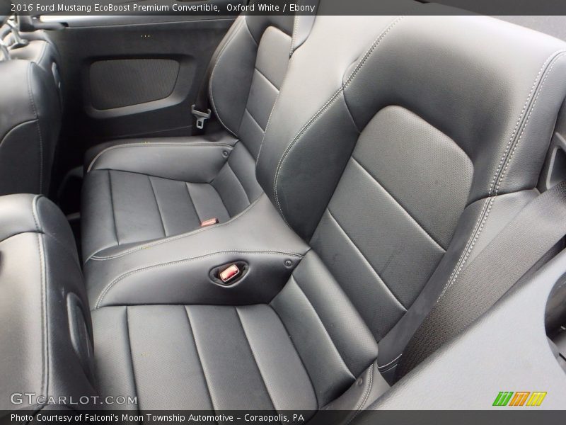 Rear Seat of 2016 Mustang EcoBoost Premium Convertible