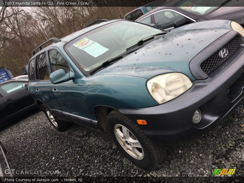 Pine Green / Gray 2003 Hyundai Santa Fe GLS
