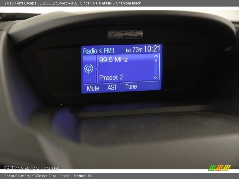 Ginger Ale Metallic / Charcoal Black 2013 Ford Escape SE 2.0L EcoBoost 4WD