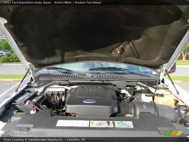 Oxford White / Medium Parchment 2003 Ford Expedition Eddie Bauer