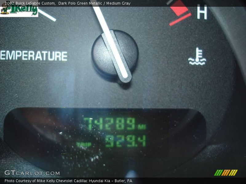 Dark Polo Green Metallic / Medium Gray 2002 Buick LeSabre Custom