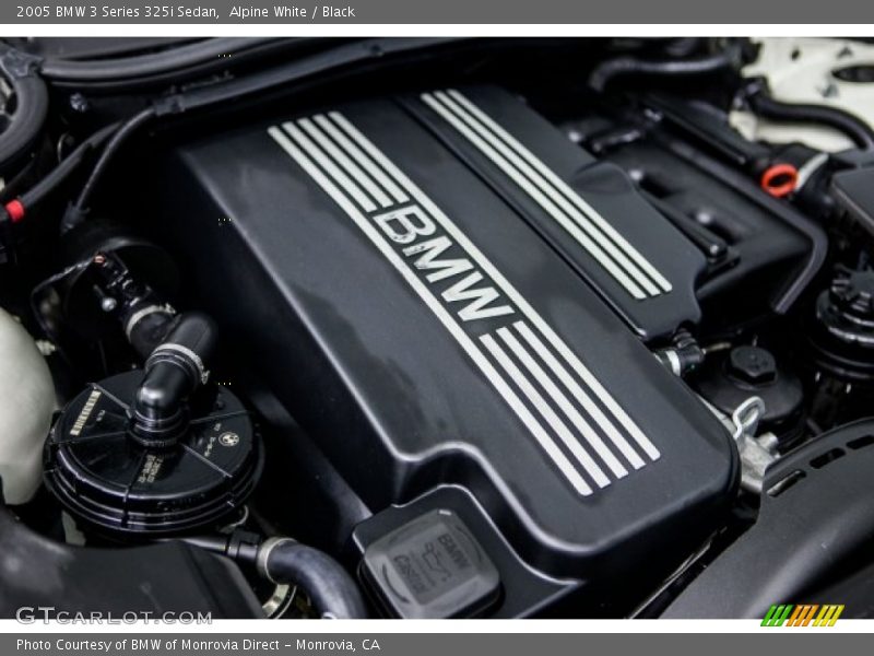 Alpine White / Black 2005 BMW 3 Series 325i Sedan