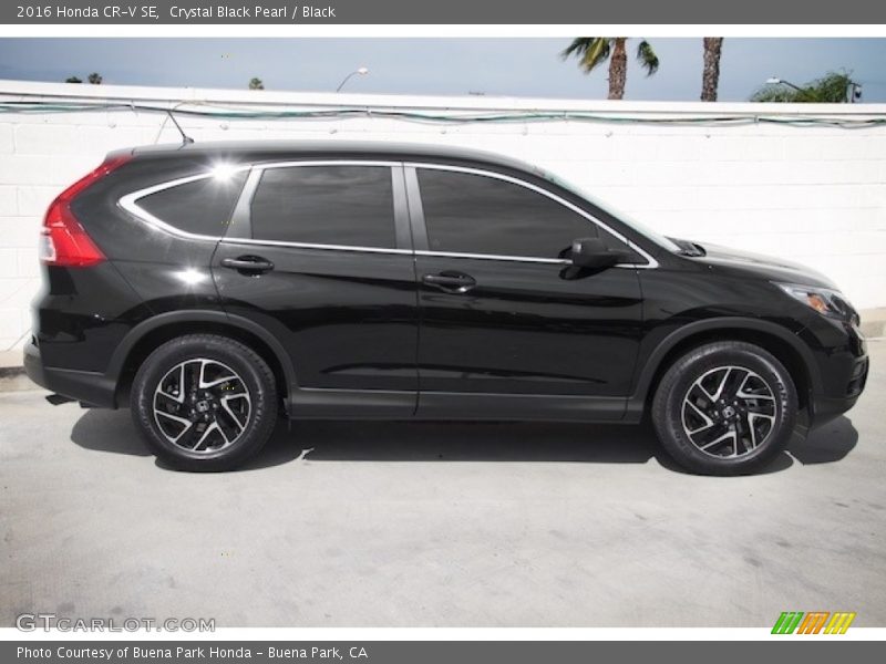 Crystal Black Pearl / Black 2016 Honda CR-V SE