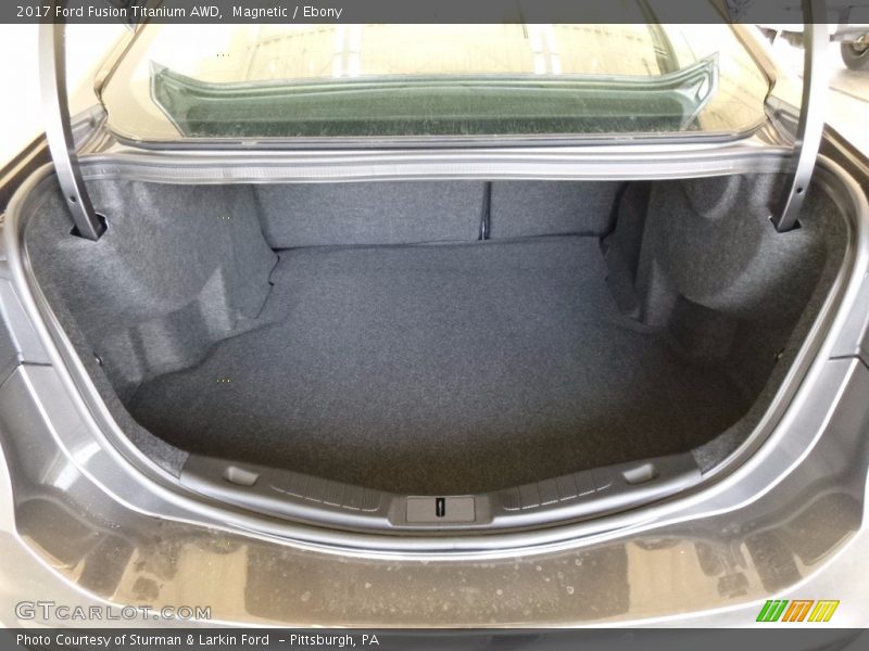 Magnetic / Ebony 2017 Ford Fusion Titanium AWD