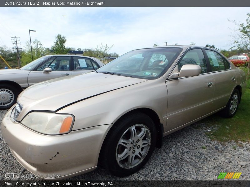 Naples Gold Metallic / Parchment 2001 Acura TL 3.2