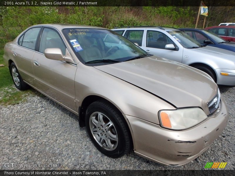 Naples Gold Metallic / Parchment 2001 Acura TL 3.2
