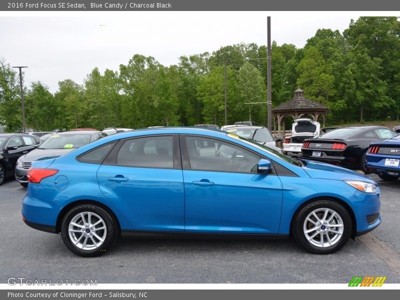 Blue Candy / Charcoal Black 2016 Ford Focus SE Sedan