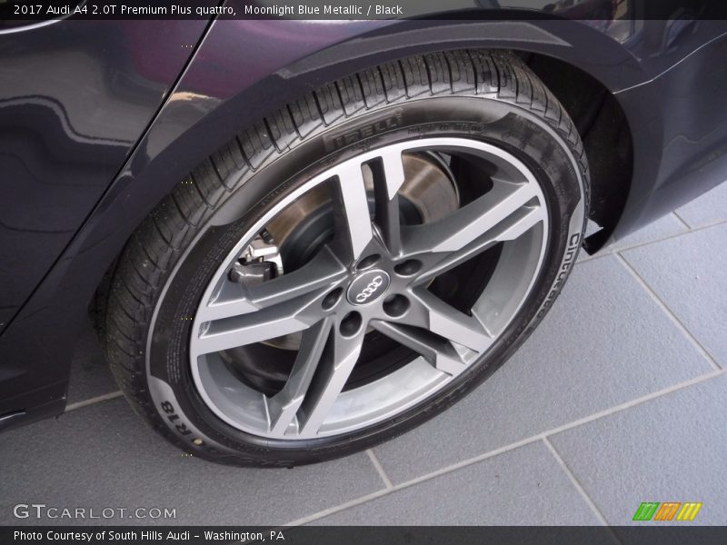 Moonlight Blue Metallic / Black 2017 Audi A4 2.0T Premium Plus quattro