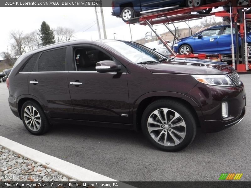 Dark Cherry / Black 2014 Kia Sorento SX V6 AWD