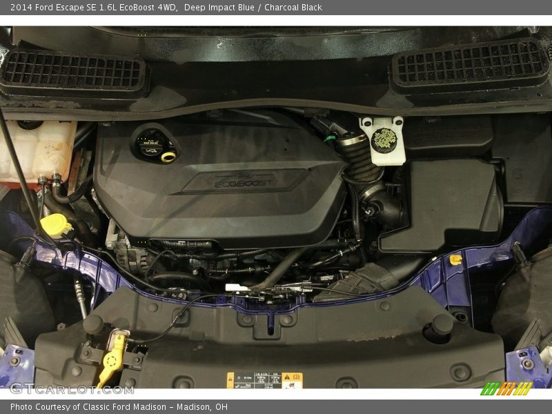 Deep Impact Blue / Charcoal Black 2014 Ford Escape SE 1.6L EcoBoost 4WD