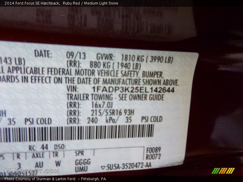 Ruby Red / Medium Light Stone 2014 Ford Focus SE Hatchback