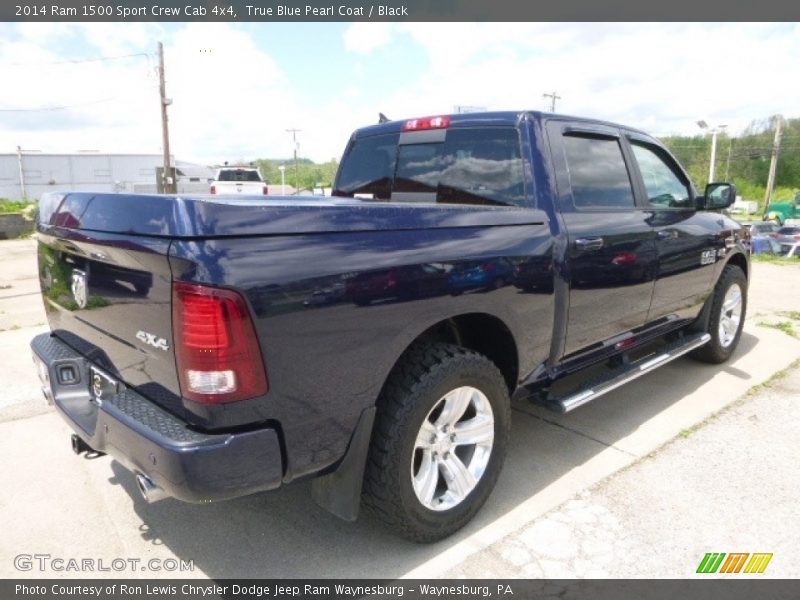 True Blue Pearl Coat / Black 2014 Ram 1500 Sport Crew Cab 4x4