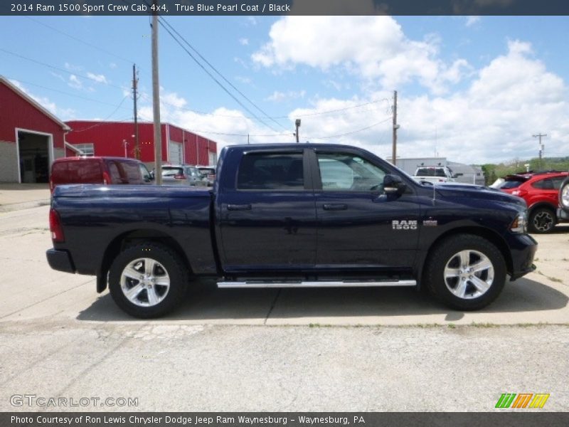 True Blue Pearl Coat / Black 2014 Ram 1500 Sport Crew Cab 4x4