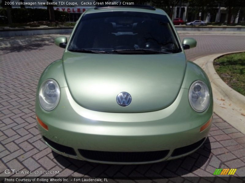 Gecko Green Metallic / Cream 2006 Volkswagen New Beetle TDI Coupe
