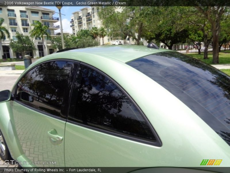 Gecko Green Metallic / Cream 2006 Volkswagen New Beetle TDI Coupe