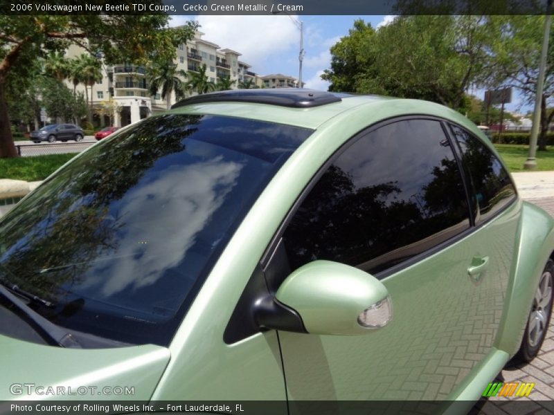 Gecko Green Metallic / Cream 2006 Volkswagen New Beetle TDI Coupe