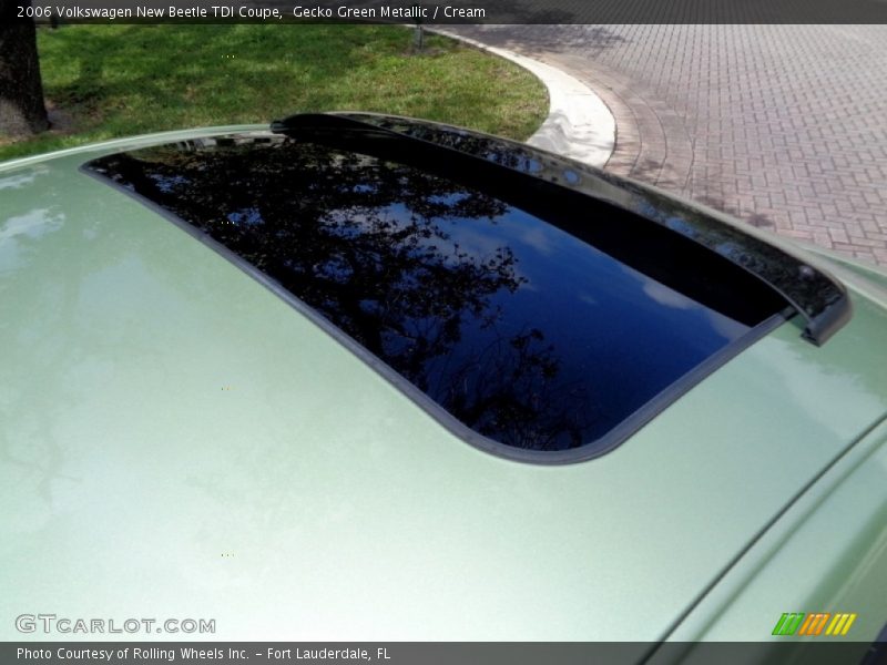 Gecko Green Metallic / Cream 2006 Volkswagen New Beetle TDI Coupe