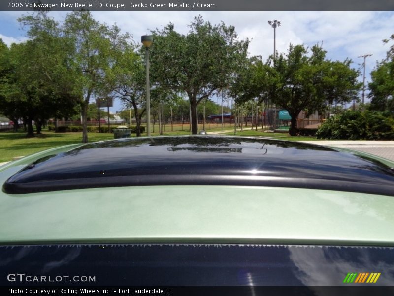 Gecko Green Metallic / Cream 2006 Volkswagen New Beetle TDI Coupe