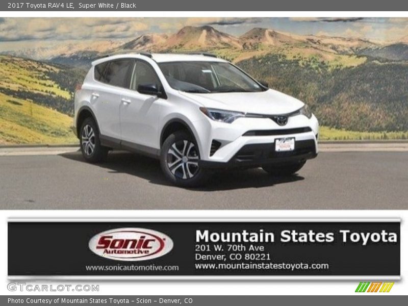 Super White / Black 2017 Toyota RAV4 LE