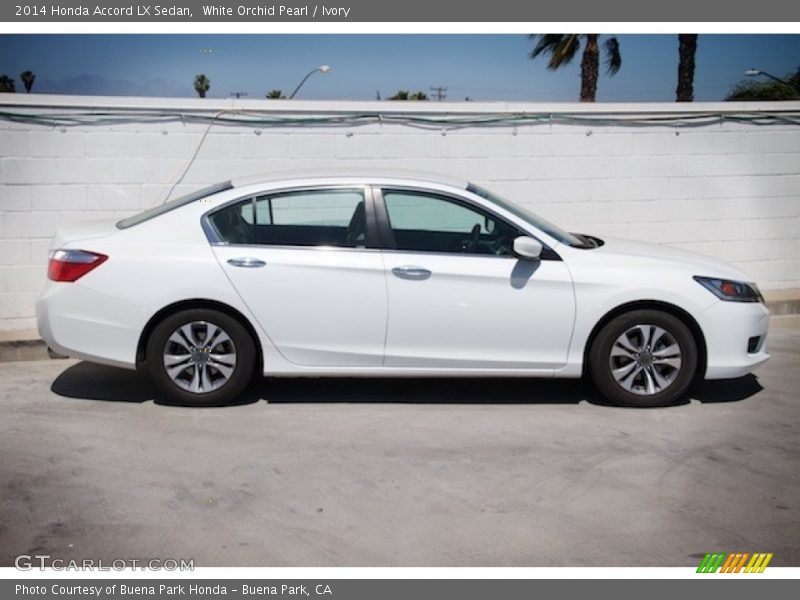 White Orchid Pearl / Ivory 2014 Honda Accord LX Sedan