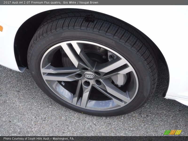 Ibis White / Nougat Brown 2017 Audi A4 2.0T Premium Plus quattro
