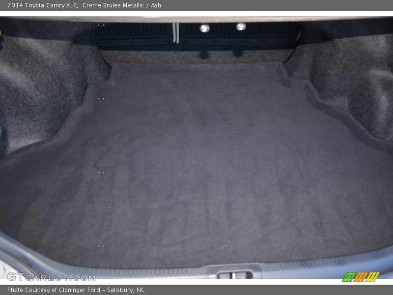 Creme Brulee Metallic / Ash 2014 Toyota Camry XLE
