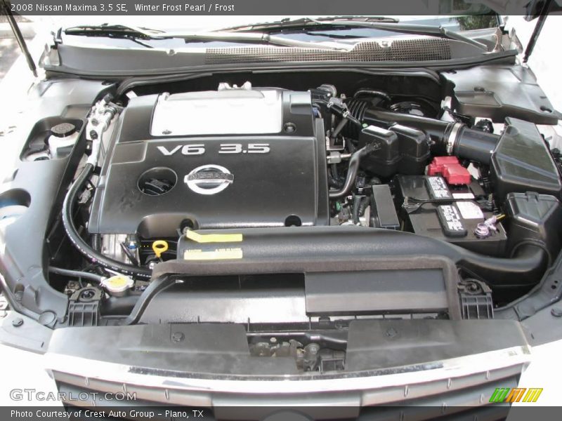 Winter Frost Pearl / Frost 2008 Nissan Maxima 3.5 SE