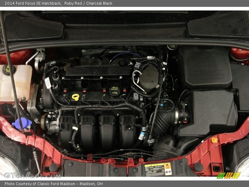 Ruby Red / Charcoal Black 2014 Ford Focus SE Hatchback