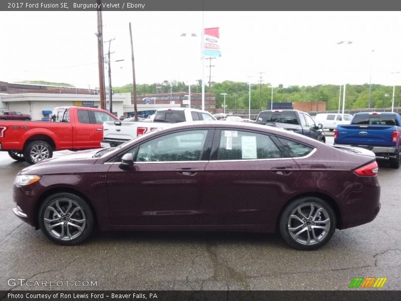Burgundy Velvet / Ebony 2017 Ford Fusion SE
