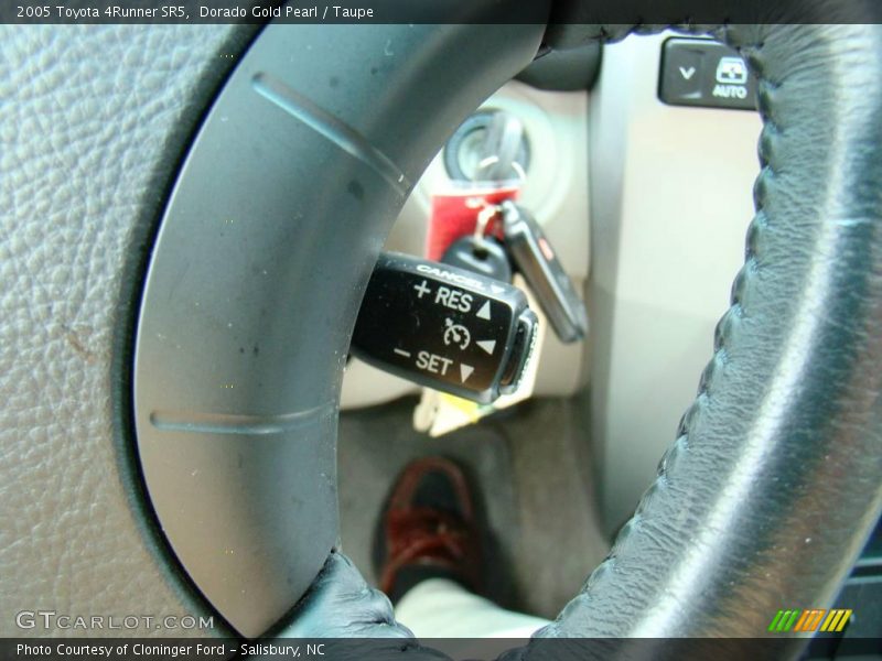 Dorado Gold Pearl / Taupe 2005 Toyota 4Runner SR5