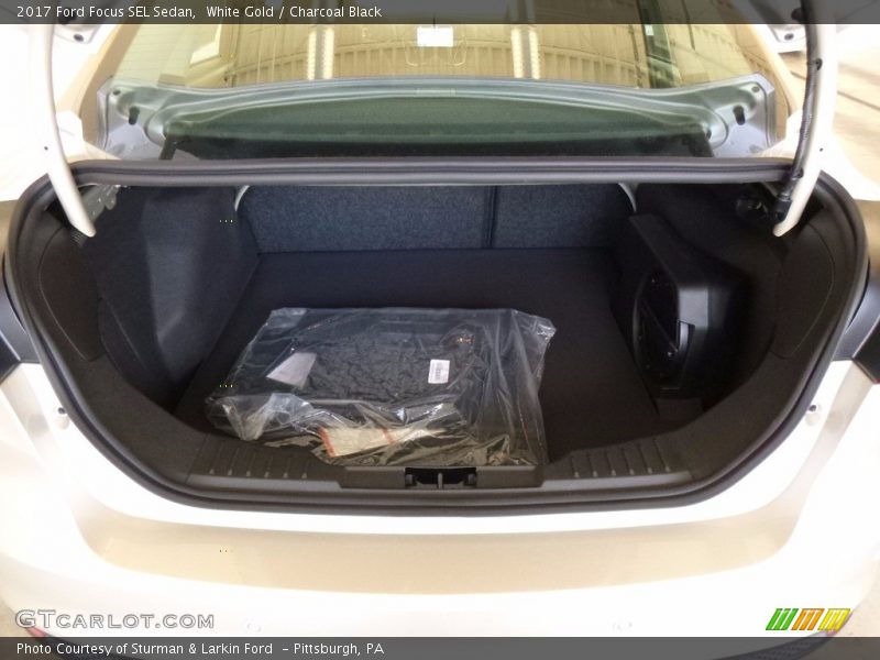 White Gold / Charcoal Black 2017 Ford Focus SEL Sedan