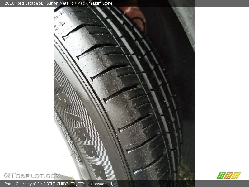 Sunset Metallic / Medium Light Stone 2016 Ford Escape SE