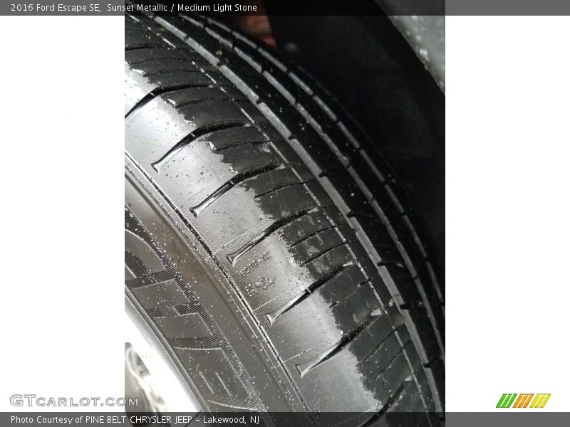 Sunset Metallic / Medium Light Stone 2016 Ford Escape SE