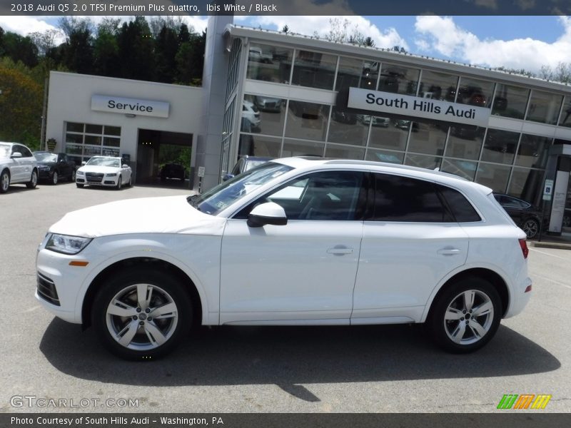 Ibis White / Black 2018 Audi Q5 2.0 TFSI Premium Plus quattro