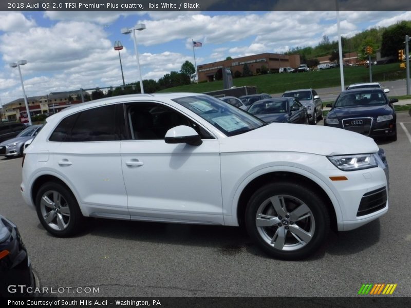  2018 Q5 2.0 TFSI Premium Plus quattro Ibis White