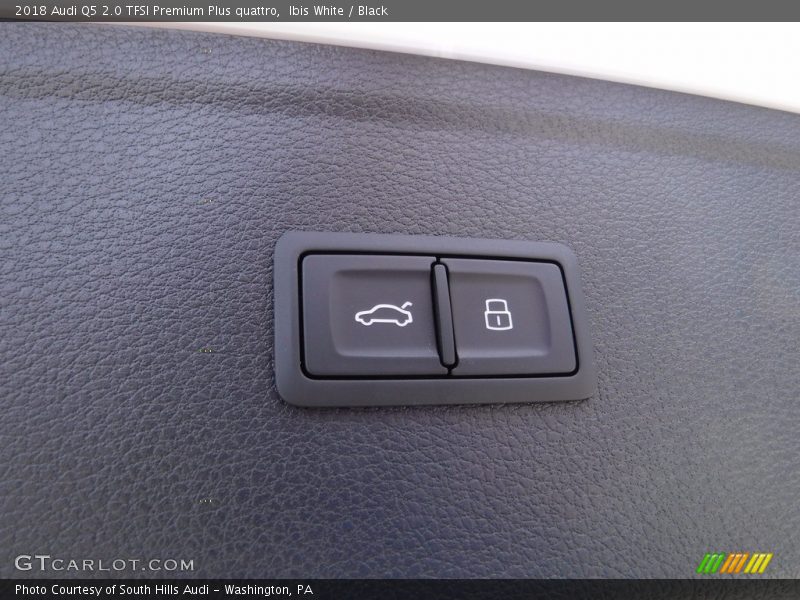 Ibis White / Black 2018 Audi Q5 2.0 TFSI Premium Plus quattro