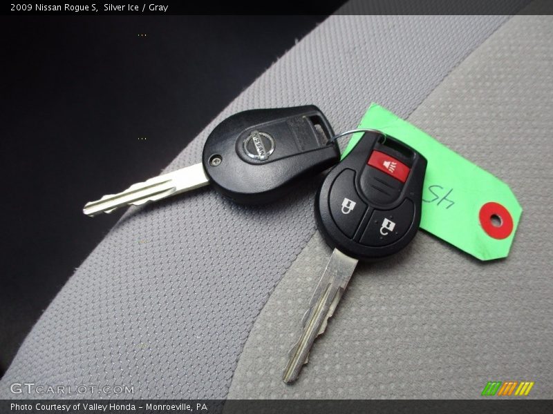 Silver Ice / Gray 2009 Nissan Rogue S