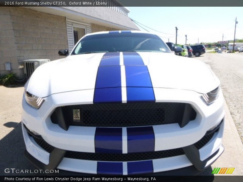 Oxford White / Ebony 2016 Ford Mustang Shelby GT350