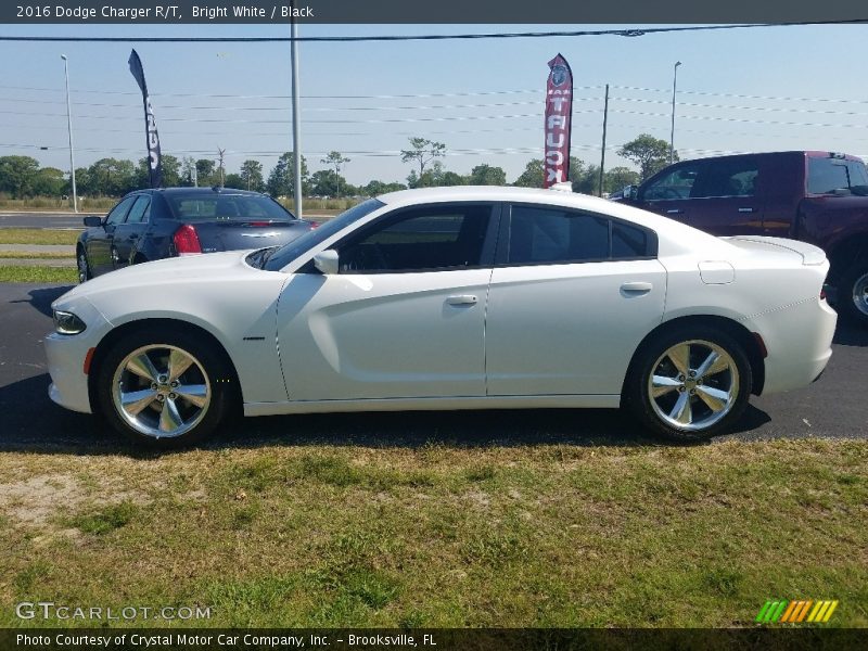 Bright White / Black 2016 Dodge Charger R/T