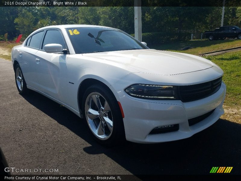 Bright White / Black 2016 Dodge Charger R/T