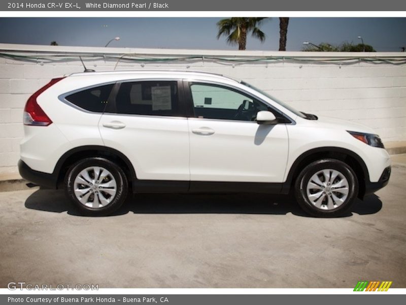 White Diamond Pearl / Black 2014 Honda CR-V EX-L